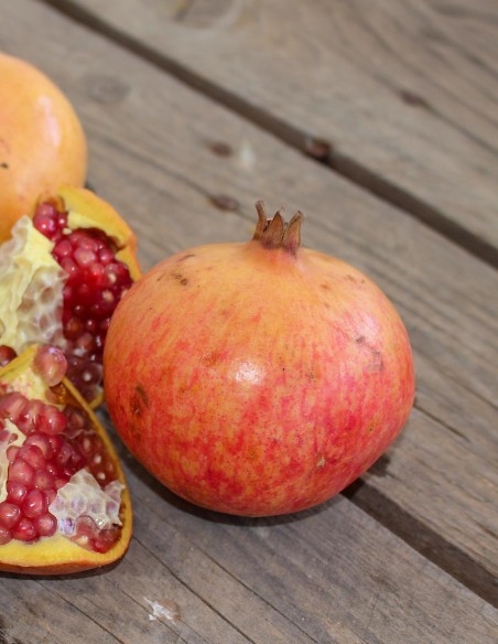 Granadas de Elche, cajas de 20Kg, venta online Granadas de Elche, cajas de 20Kg, venta online