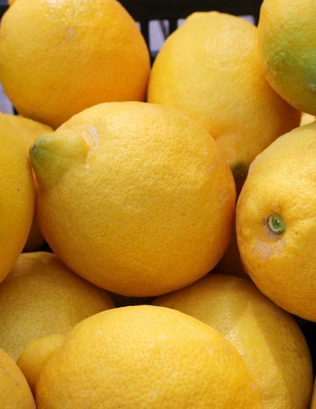 Limones del Campo de Elche con Mundo Cítrico Limones del Campo de Elche con Mundo Cítrico