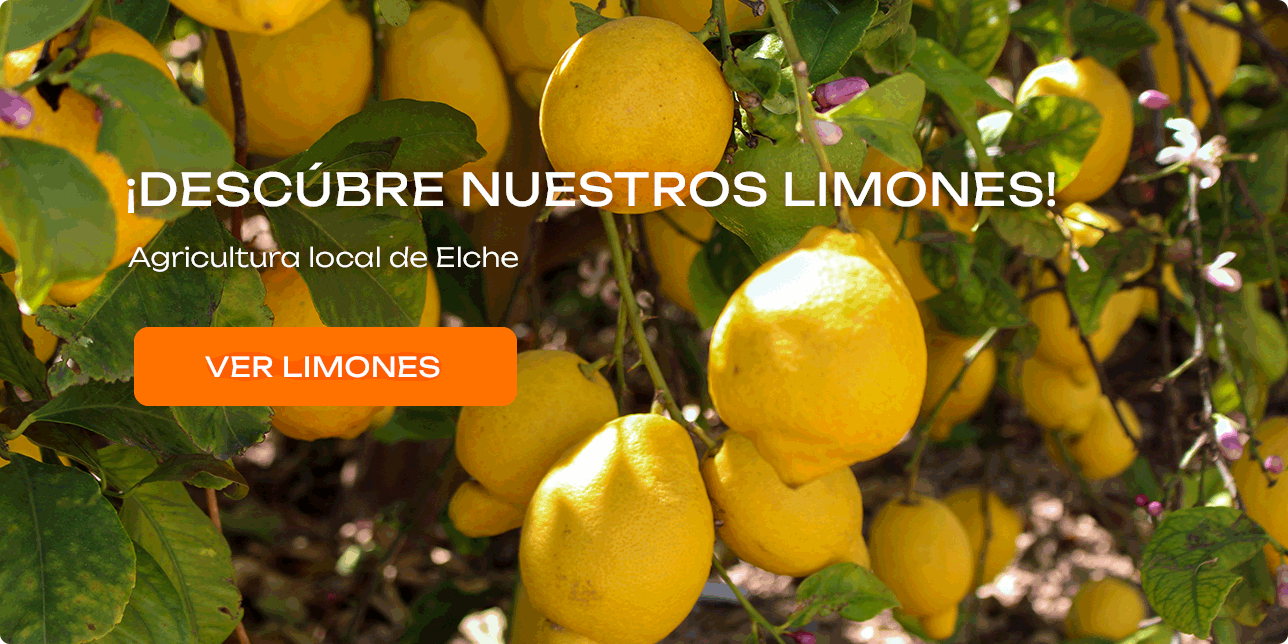 Compra online de limones de agricultura local de Elche