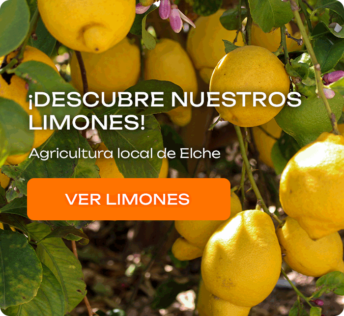 Compra online de limones de agricultura local de Elche